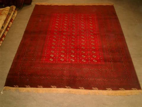 Afghan Carpet with Fine Gül Lattice